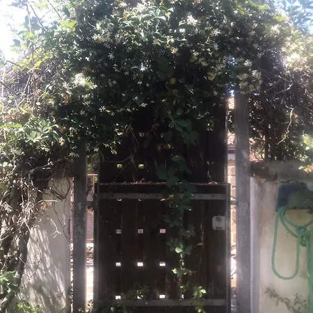 Con Giardino Διαμέρισμα