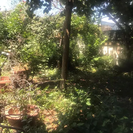 Con Giardino Διαμέρισμα Ardea