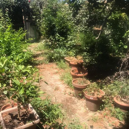 Con Giardino Ardea